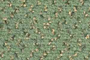 Ковролин Balsan Impression Roll 267 фото  | FLOORDEALER